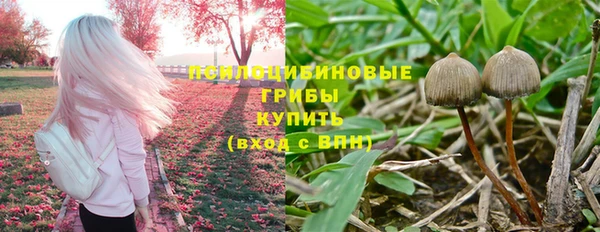 а пвп мука Семёнов