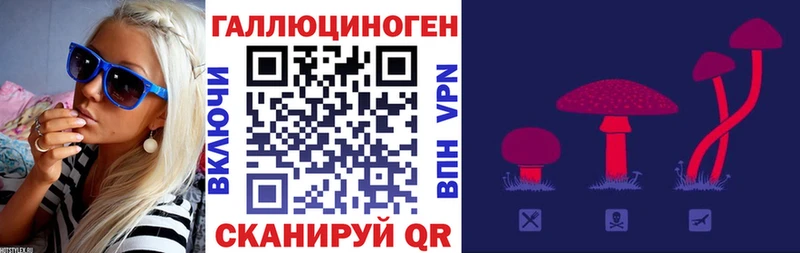 Псилоцибиновые грибы Magic Shrooms  Егорьевск 