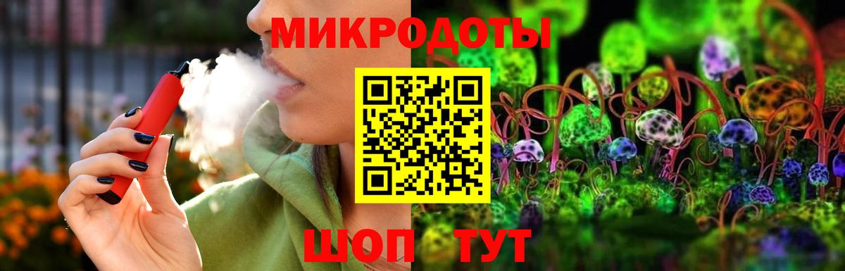 Галлюциногенные грибы Psilocybe Егорьевск